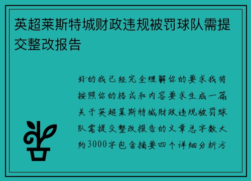 英超莱斯特城财政违规被罚球队需提交整改报告 英超莱斯特城财政违规被罚球队需提交整改报告